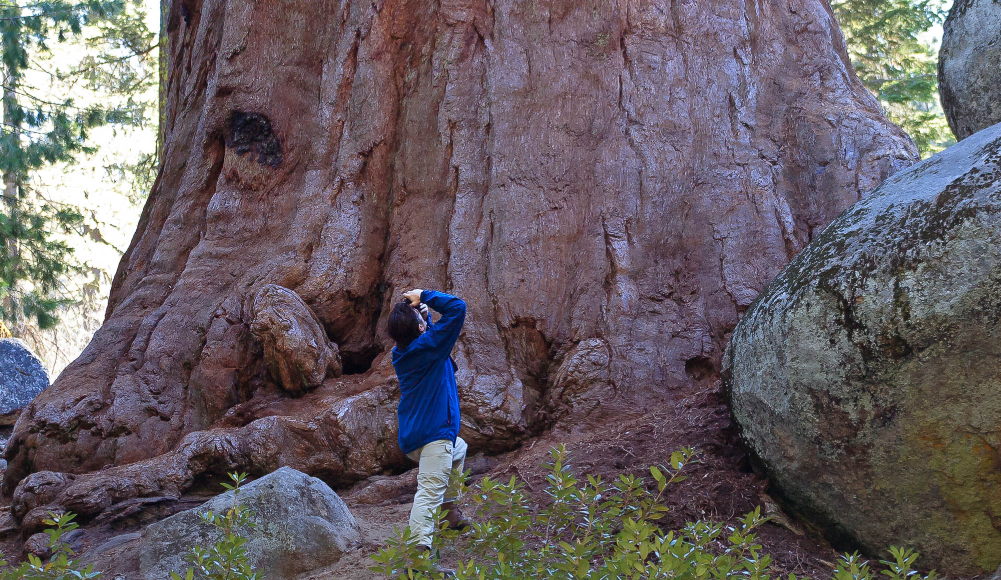 USA - Kalifornien / California